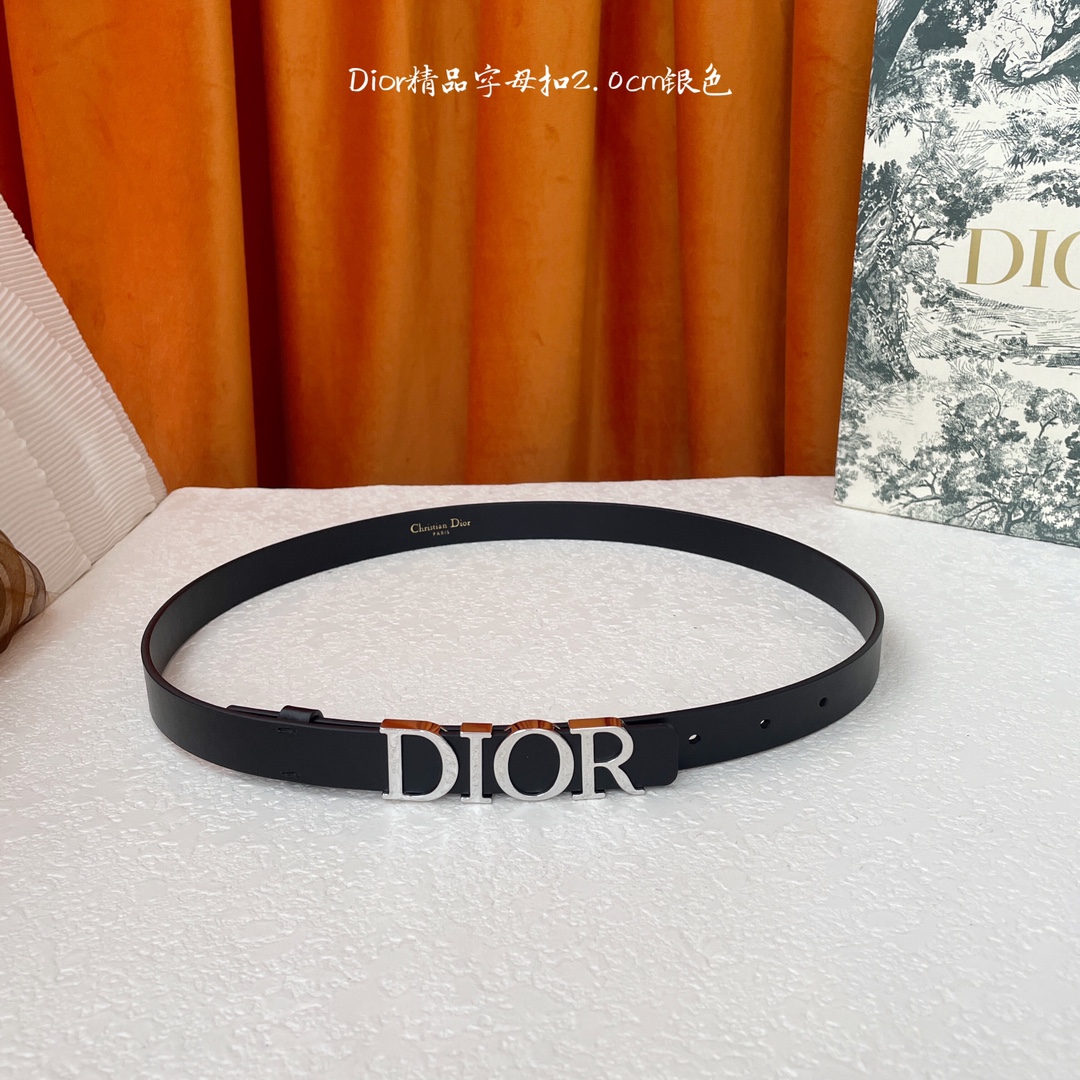 Dior-Belts