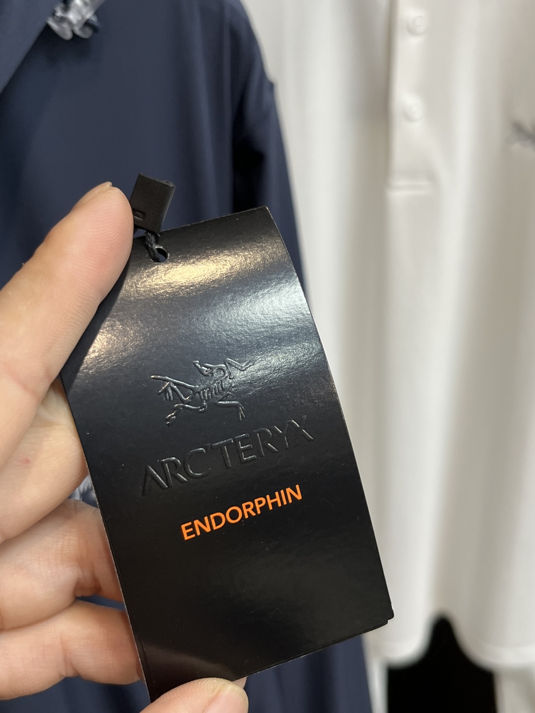 Hoodies & Sweatshirts