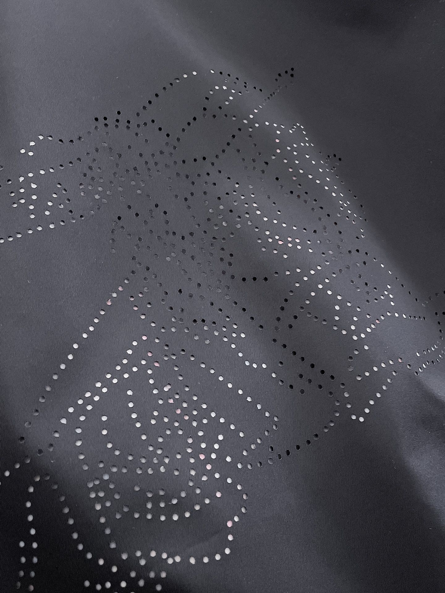 Hoodies & Sweatshirts